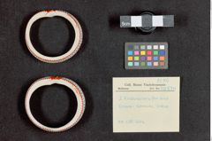 Foto (Übersicht mit Etikett) von Kinderarmreifen aus Chank-schnecke  (NHMW-ZOO-MO-0081100-ETH-125)